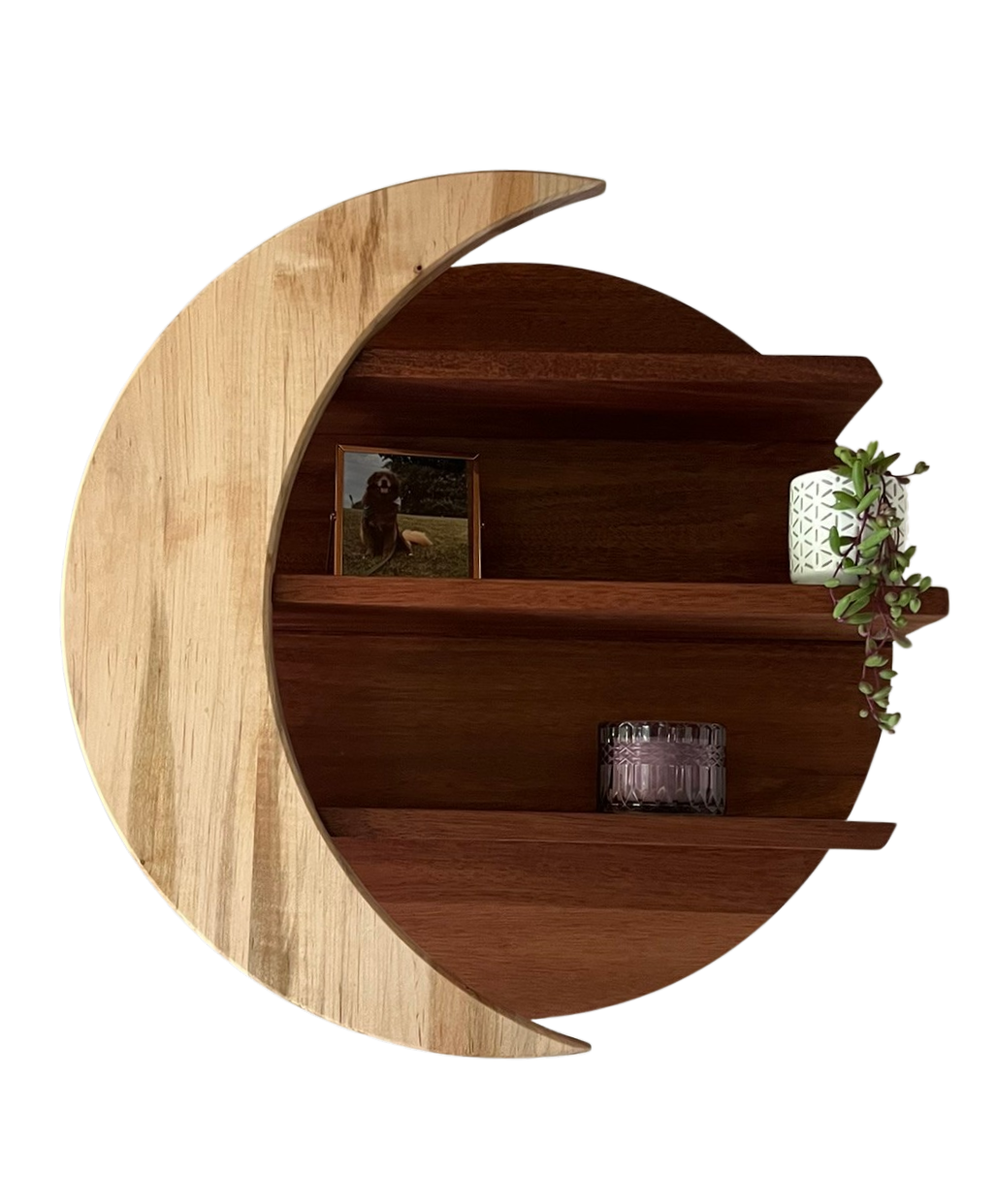 The Lunar Eclipse Shelf- Handcrafted Mahogany and Maple Wall Art